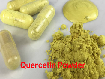 What Is Quercetin Powder?